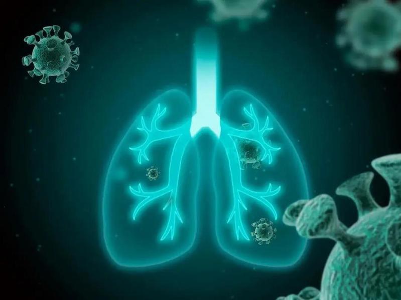 生物性生命：生命政治直接作用的对象